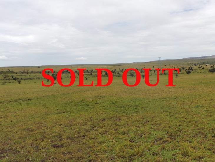 ACACIA VIEW – SOLD OUT
